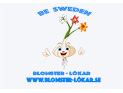 Be Sweden är en professionell säljare av alla typer av högkvalitativa blomlökar. Dessa importeras direkt av oss från utlandet.